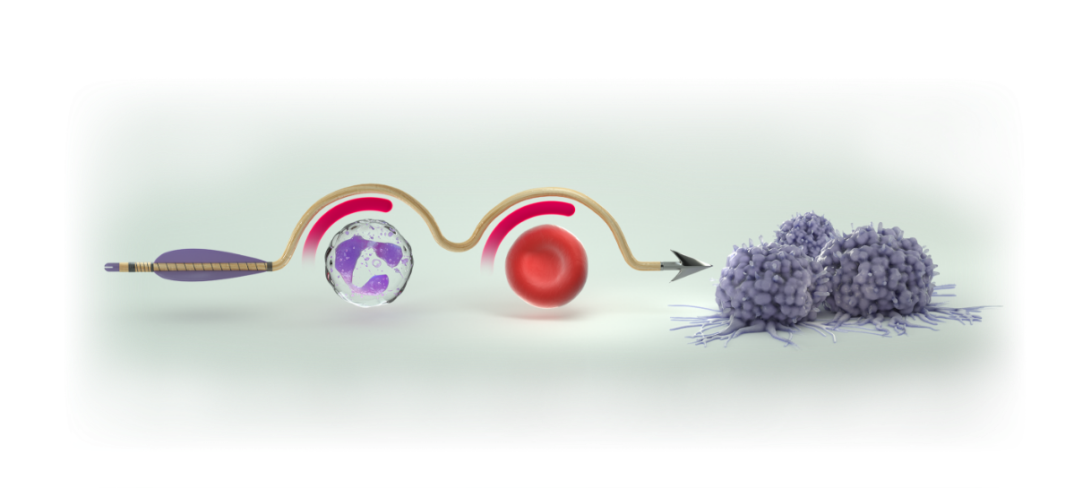 COSELA helps protect against myelosuppression, while chemotherapy targets cancer cells