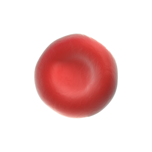 Red blood cell