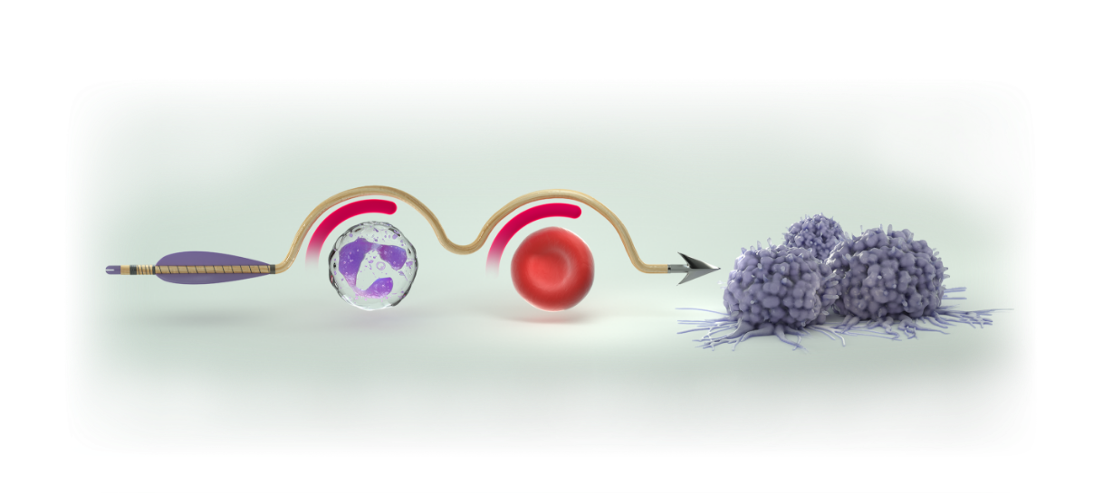 COSELA shields helping to protect a neutrophil and red blood cell while a chemotherapy arrow targets cancer cells